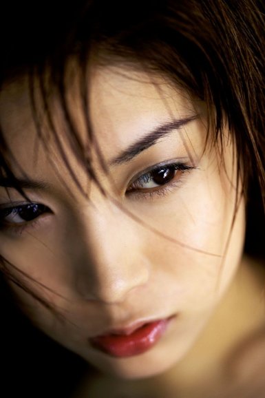 LOL S14|红皮榕多少钱一棵?红皮榕和小叶榕的区别(图2) LOL S14